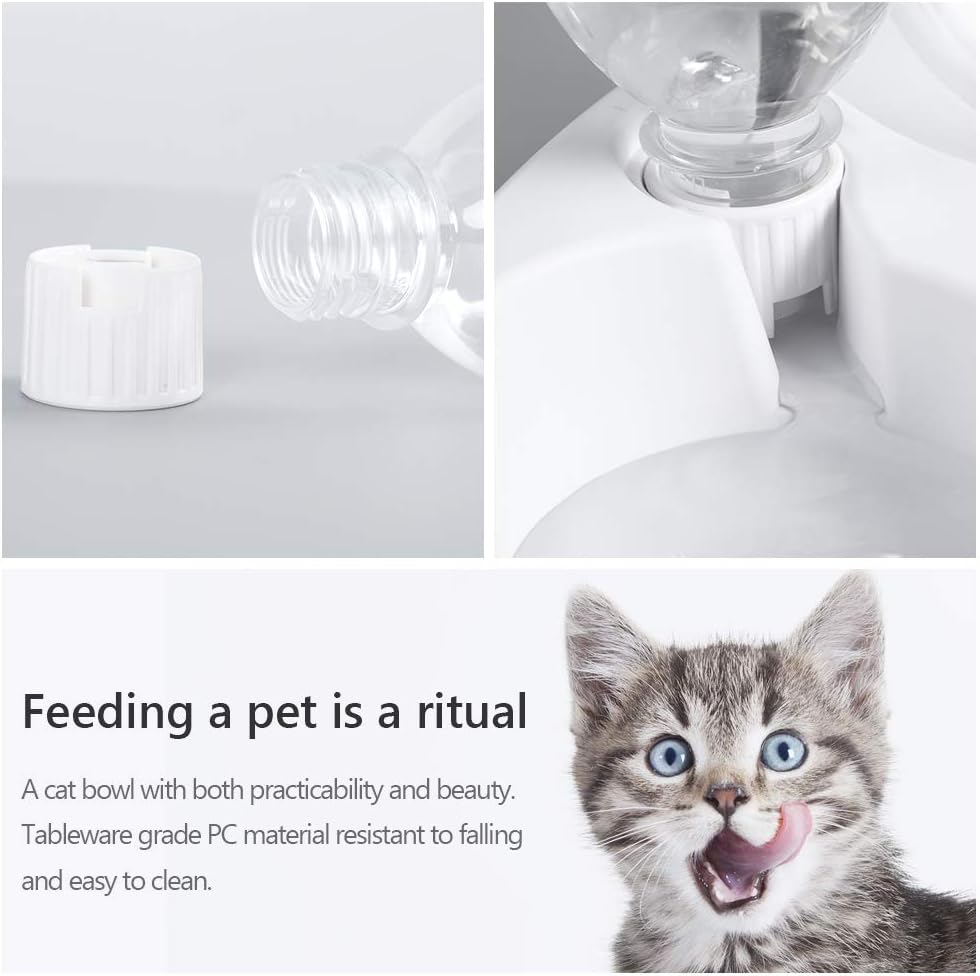 Double Dog Cat Bowls Pets Water And Food Bowl Set 15 Tilted Water And Food Bowl Set With Automatic Waterer Bottle For Small Or Medium Size Dogs Cats